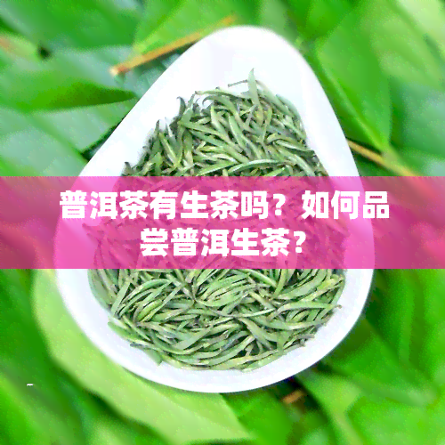 普洱茶有生茶吗？如何品尝普洱生茶？