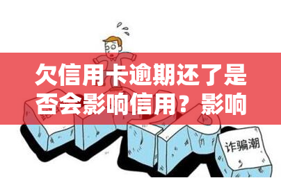 欠信用卡逾期还了是否会影响信用？影响程度如何？