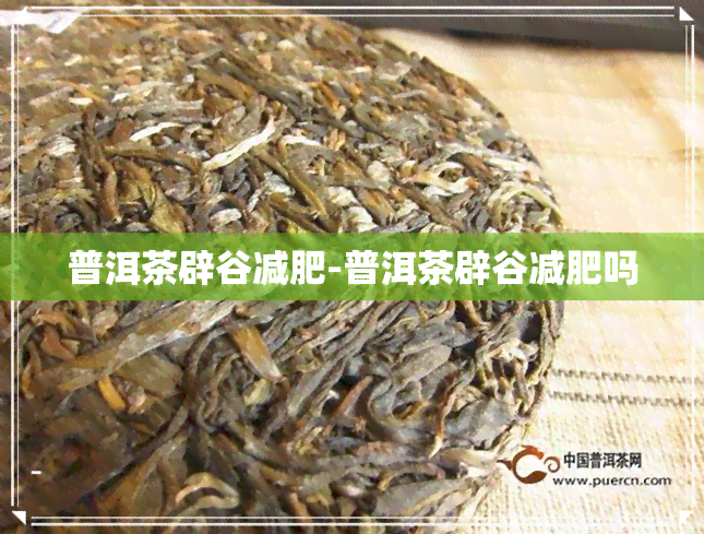 普洱茶辟谷减肥-普洱茶辟谷减肥吗