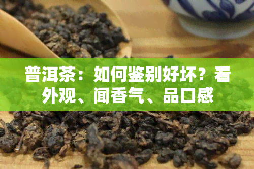 普洱茶：如何鉴别好坏？看外观、闻香气、品口感