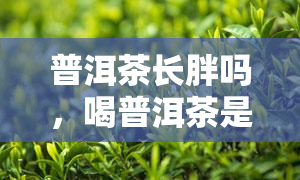 普洱茶长胖吗，喝普洱茶是否会让人变胖？探讨其影响因素