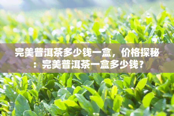 完美普洱茶多少钱一盒，价格探秘：完美普洱茶一盒多少钱？