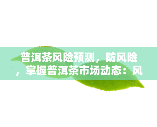 普洱茶风险预测，防风险，掌握普洱茶市场动态：风险预测策略解析