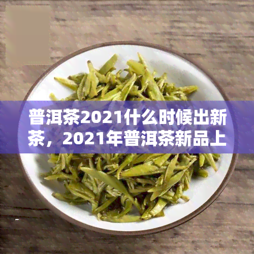 普洱茶2021什么时候出新茶，2021年普洱茶新品上市时间预测