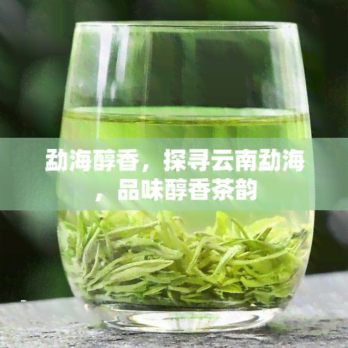 勐海醇香，探寻云南勐海，品味醇香茶韵