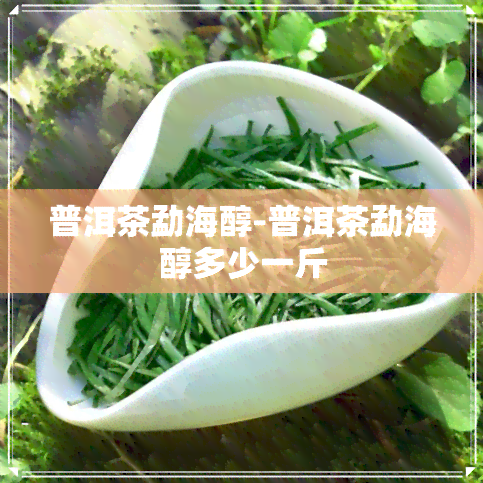 普洱茶勐海醇-普洱茶勐海醇多少一斤