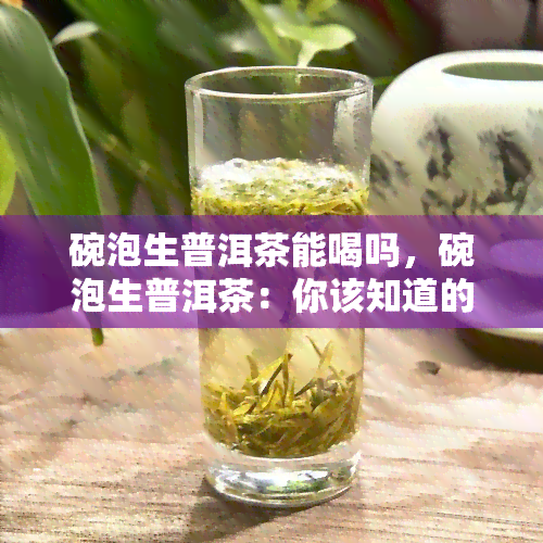 碗泡生普洱茶能喝吗，碗泡生普洱茶：你该知道的注意事与技巧