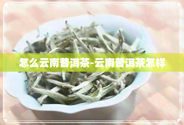 怎么云南普洱茶-云南普洱茶怎样