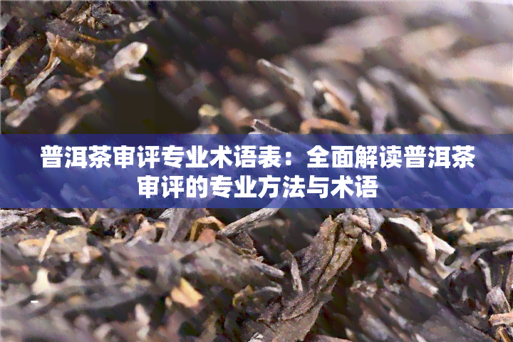 普洱茶审评专业术语表：全面解读普洱茶审评的专业方法与术语