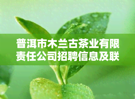 普洱市木兰古茶业有限责任公司招聘信息及联系方式