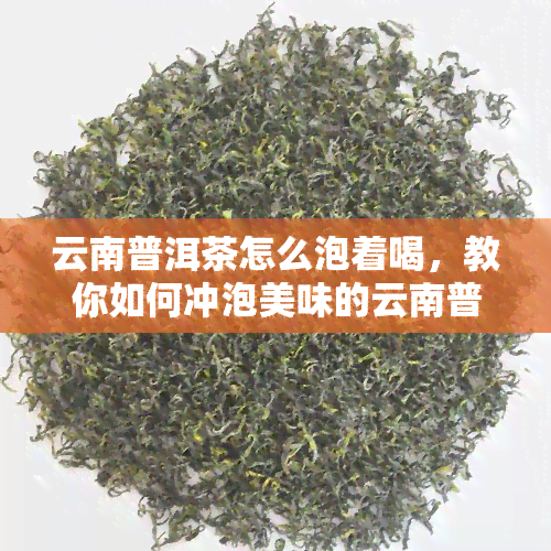 云南普洱茶怎么泡着喝，教你如何冲泡美味的云南普洱茶