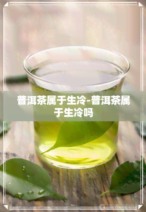 普洱茶属于生冷-普洱茶属于生冷吗