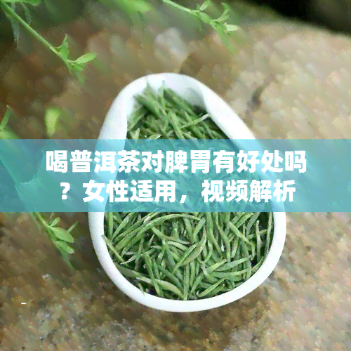 喝普洱茶对脾胃有好处吗？女性适用，视频解析