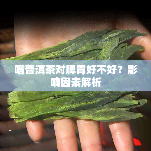 喝普洱茶对脾胃好不好？影响因素解析