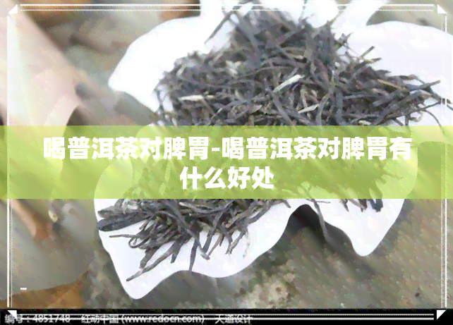 喝普洱茶对脾胃-喝普洱茶对脾胃有什么好处