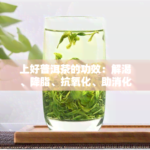 上好普洱茶的功效：解渴、降脂、抗氧化、助消化等