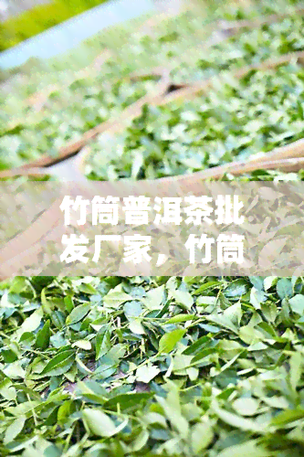 竹筒普洱茶批发厂家，竹筒普洱茶：专业批发厂家提供优质茶叶！