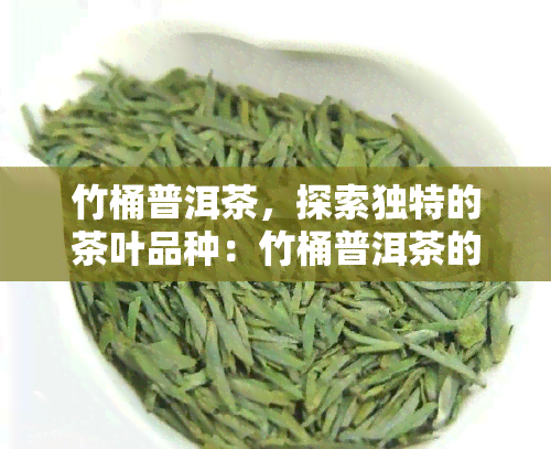 竹桶普洱茶，探索独特的茶叶品种：竹桶普洱茶的魅力与品尝指南