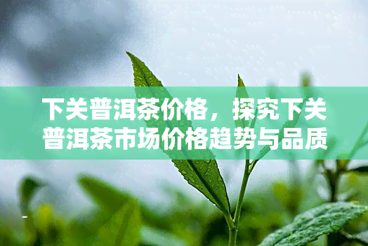 下关普洱茶价格，探究下关普洱茶市场价格趋势与品质关系