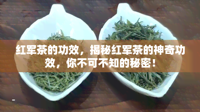 红军茶的功效，揭秘红军茶的神奇功效，你不可不知的秘密！