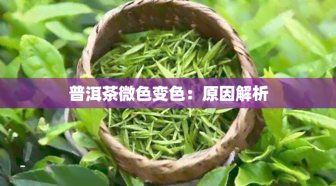 普洱茶微色变色：原因解析