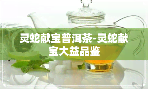 灵蛇献宝普洱茶-灵蛇献宝大益品鉴