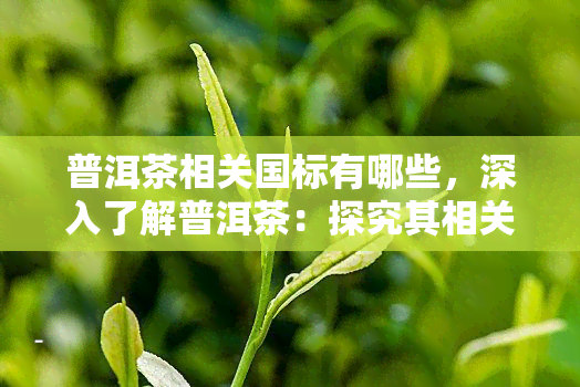 普洱茶相关国标有哪些，深入了解普洱茶：探究其相关的标准