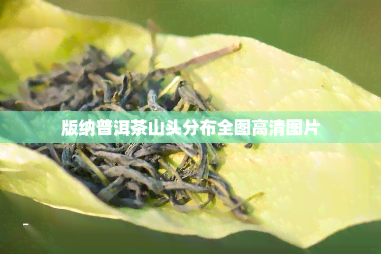 版纳普洱茶山头分布全图高清图片