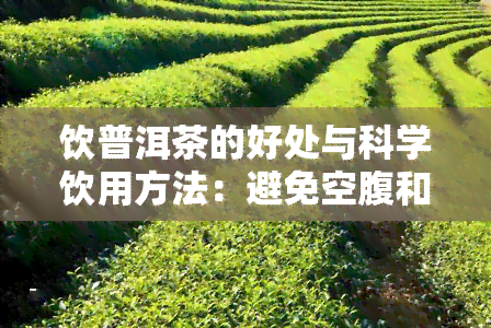 饮普洱茶的好处与科学饮用方法：避免空腹和过浓，适宜人群需根据个人体质选择