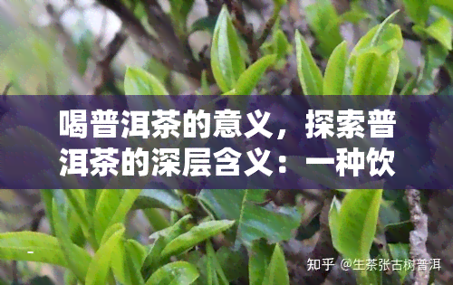 喝普洱茶的意义，探索普洱茶的深层含义：一种饮品的艺术与哲学