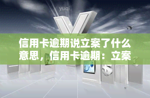 信用卡逾期说立案了什么意思，信用卡逾期：立案意味着什么？