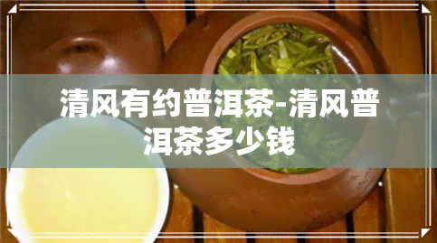 清风有约普洱茶-清风普洱茶多少钱