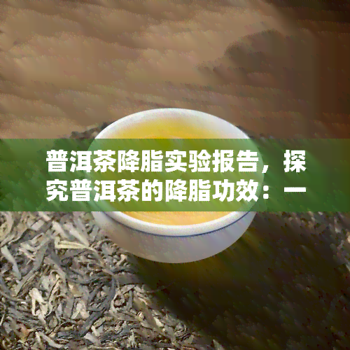 普洱茶降脂实验报告，探究普洱茶的降脂功效：一实验研究的发现