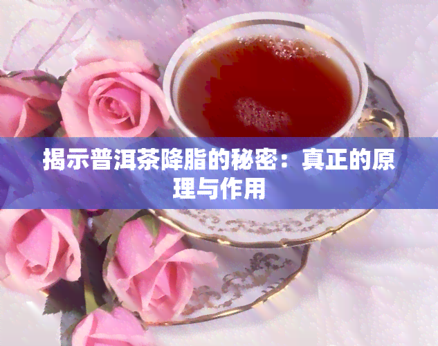 揭示普洱茶降脂的秘密：真正的原理与作用