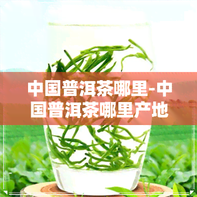 中国普洱茶哪里-中国普洱茶哪里产地