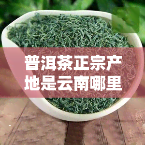 普洱茶正宗产地是云南哪里，揭秘普洱茶的正宗产地：云南哪里？