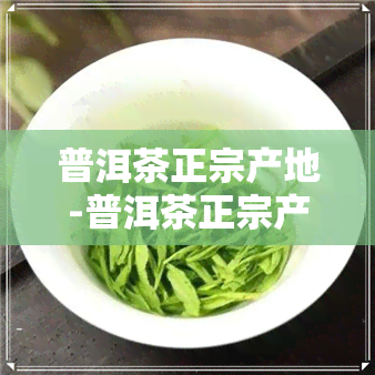 普洱茶正宗产地-普洱茶正宗产地是哪里