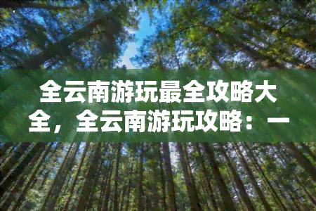 全云南游玩最全攻略大全，全云南游玩攻略：一份全面的大全指南