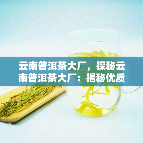 云南普洱茶大厂，探秘云南普洱茶大厂：揭秘优质茶叶的生产过程