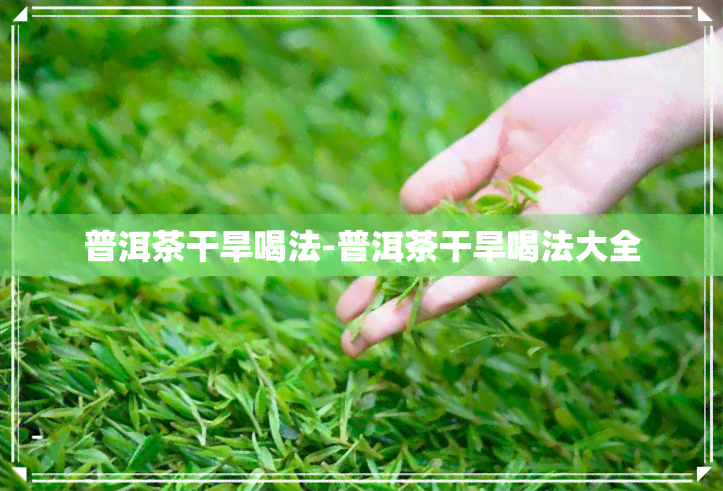 普洱茶干旱喝法-普洱茶干旱喝法大全