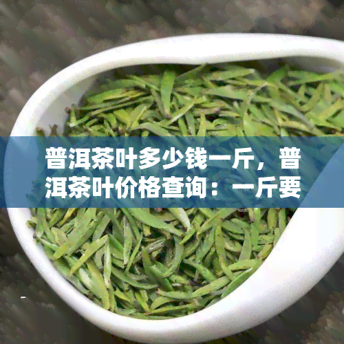 普洱茶叶多少钱一斤，普洱茶叶价格查询：一斤要多少钱？