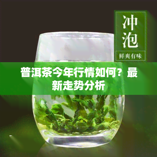 普洱茶今年行情如何？最新走势分析