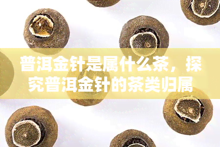 普洱金针是属什么茶，探究普洱金针的茶类归属，它属于哪一种茶叶？