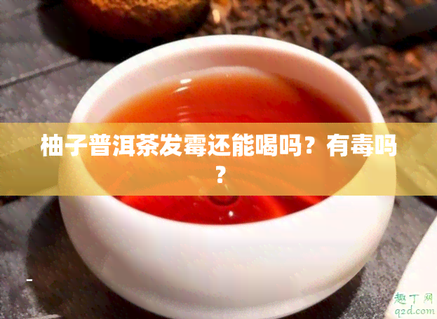 柚子普洱茶发霉还能喝吗？有吗？