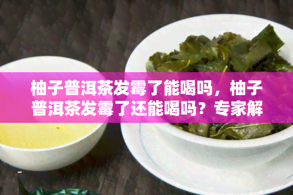 柚子普洱茶发霉了能喝吗，柚子普洱茶发霉了还能喝吗？专家解析