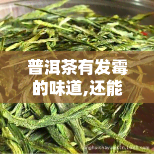 普洱茶有发霉的味道,还能喝吗，普洱茶有发霉味，是否还能饮用？