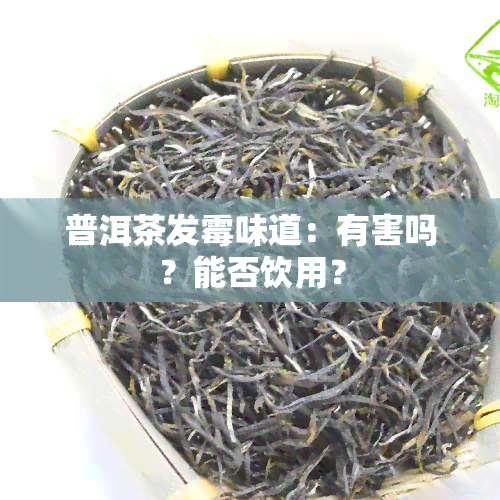 普洱茶发霉味道：有害吗？能否饮用？