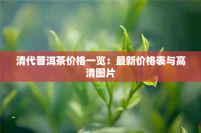 清代普洱茶价格一览：最新价格表与高清图片