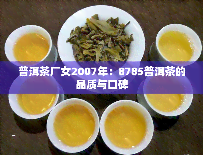 普洱茶厂女2007年：8785普洱茶的品质与口碑