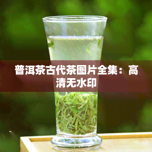 普洱茶古代茶图片全集：高清无水印